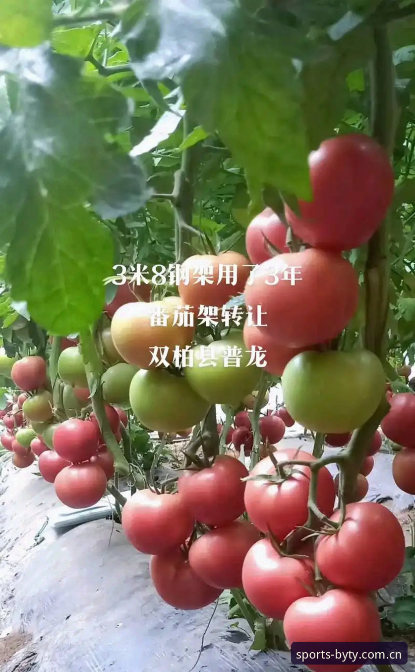 必一体育绿色娱乐 必一体育绿色娱乐平台使用教程:从入门到精通的操作指南
